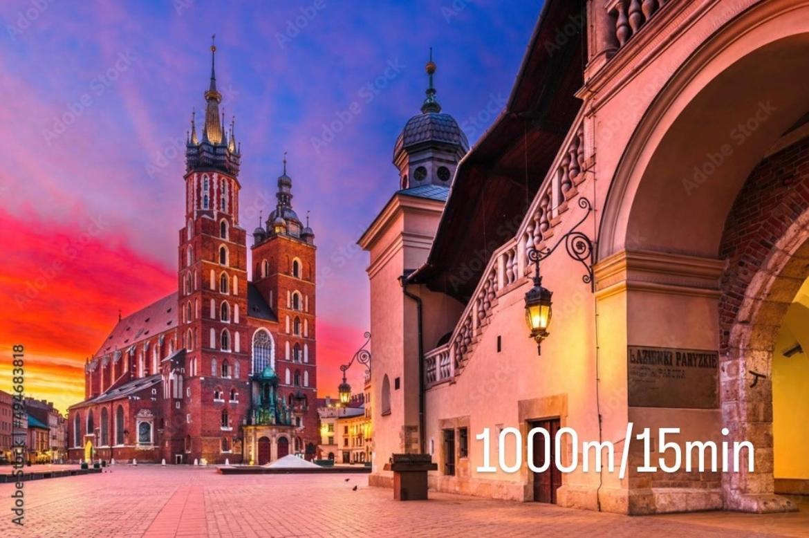 Shapiro Kazimierz * Kraków